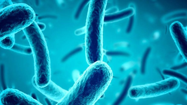 Известната по света много опасна Легионерска болест причинявана от бактерията