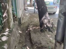 Виваком с незабавна реакция след публикация на Plovdiv24.bg