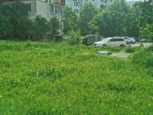 Пловдивчанка се ядоса и отсече: Скоро ще си отглеждаме анаконди