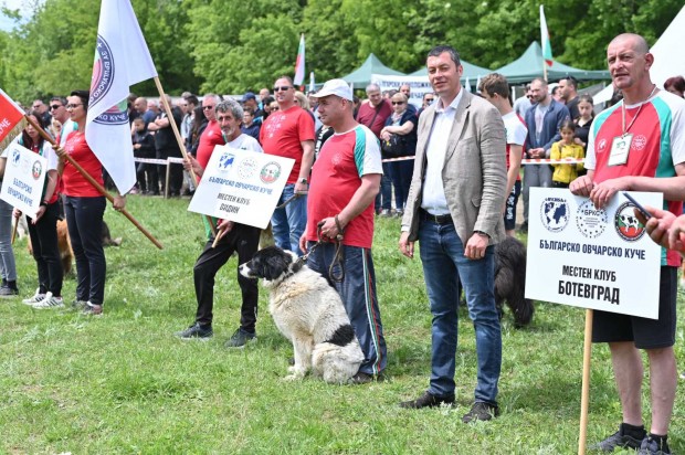 Заместник министър Бурджев откри специализирана изложба на овчарски кучета Събитието се