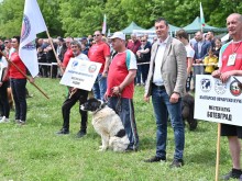 Овчарски кучета от Пловдив участваха в изложба