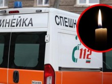 Голяма трагедия: Кон уби 12-годишно момче
