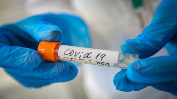 151 �� ������ ������ �� COVID-19, � � ����� 53