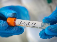 151 �� ������ ������ �� COVID-19, � � ����� 53