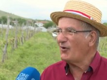 Само на 20 км от Пловдив, французин отглежда лозови масиви и рекламира българското вино