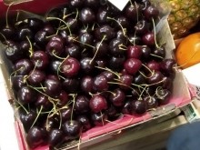 Производители от Пловдивско обясниха каква е причината за високите цени на черешите