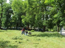 Мащабно косене на трева предстои във всички райони на Пловдив