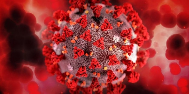 362 са новите случаи на коронавирус за изминалото денонощие при направени