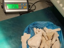 24 парчета от корали, защитени по CITES, откриха митнически служители на Летище "София"