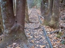 Ето как изглеждат останките от жп линията София - Скопие, изградена от Царство България през 1942 г.