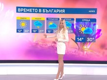 Натали Трифонова отново привлече погледите в ефир
