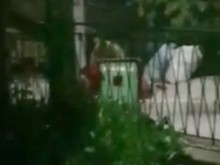 Мечка слезе в центъра на Чепеларе