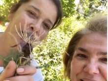Катето Евро и Марта Вачкова отново взривиха интернет с нестандартно предложение!