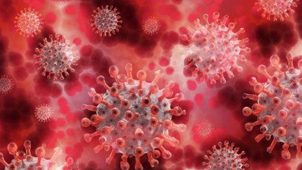 Новите случаи на коронавирус у нас през последното денонощие са 316