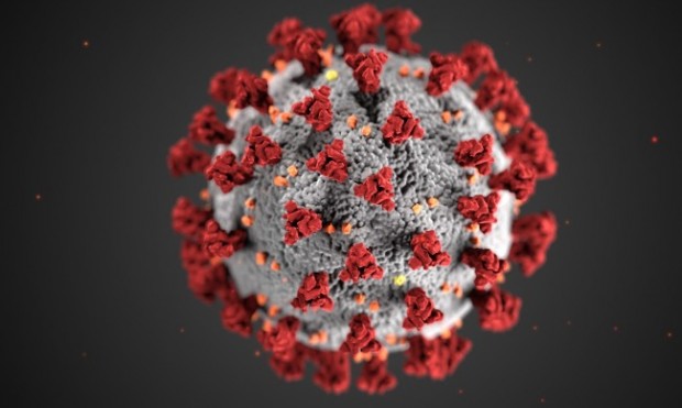 73 са новите случая на коронавирус, показват данни, публикувани от