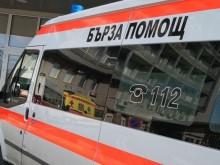 Тригодишно дете е с черепно-мозъчна травма след ритник от кон