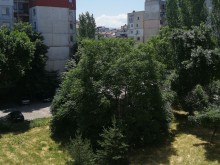 Пловдивчанка: Познайте какво има на снимката зад горичката