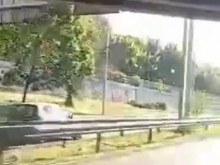Женичка шпори в насрещното на оживен булевард в Пловдив