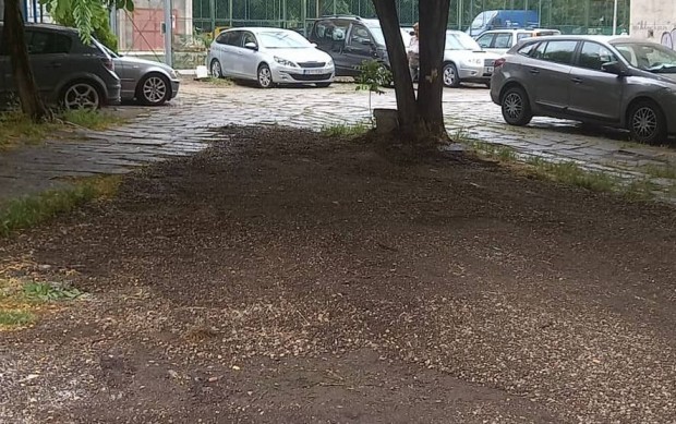 След публикация на Plovdiv24 bg Вчера сутринта багер е изринал