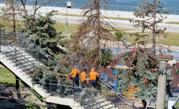 В Русе екипи продължават разчистването на повалени дървета и клони