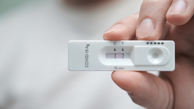 168 �� ������ ������ �� COVID-19