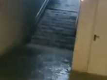 ����� � ���� �������: �������� �� ��������� �� ���� � ��������