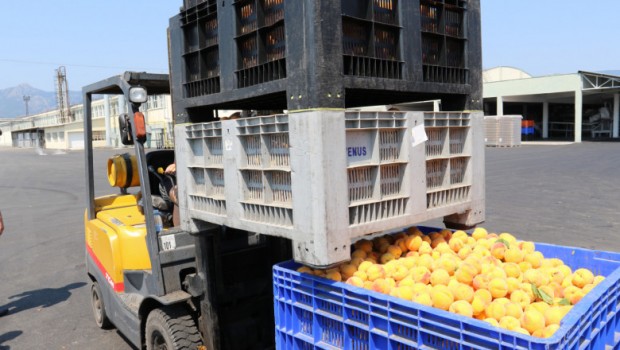 Над 418 тона плодове и зеленчуци внос от трети страни  преминали