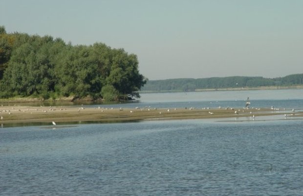 Рибарка от Тутракан улови мина във водите на Дунав. Милена
