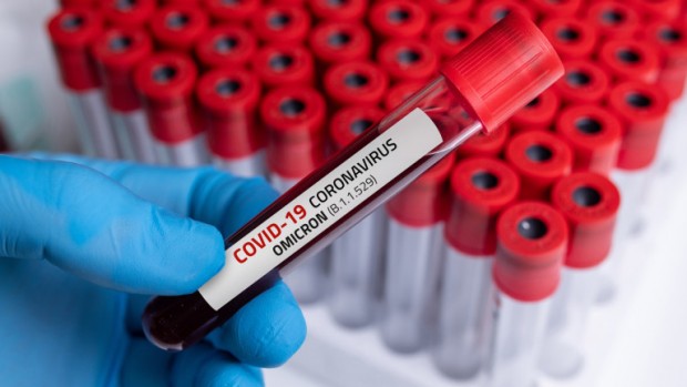 6 ���� �� �������� � COVID-19 �� �����������