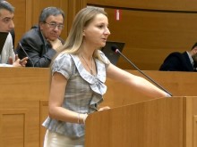 Съветници питат за бариера в подножието на Дановия хълм