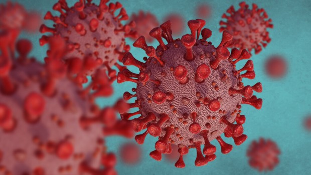 246 са новите случаи на коронавирус показват данните на Единния