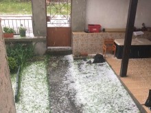 Свирепа градушка унищожи реколтата в пловдивско село