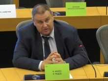 Емил Радев: Как ще се спази принципът на субсидиарност при законодателство за признаване на родителството в ЕС?