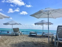 �� � �����, �� ����� �� ������������ �����: ����� ����������� �� ������ �� �������� ������ � �� 50%