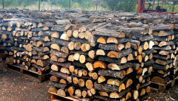 160 лева достигна цената на кубик дърва за огрев. Това
