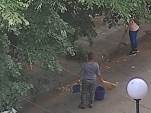 Читателка предупреди любителите на липов чай, купен от магазина