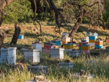 Субсидирано опрашване в Натура 2000 от догодина