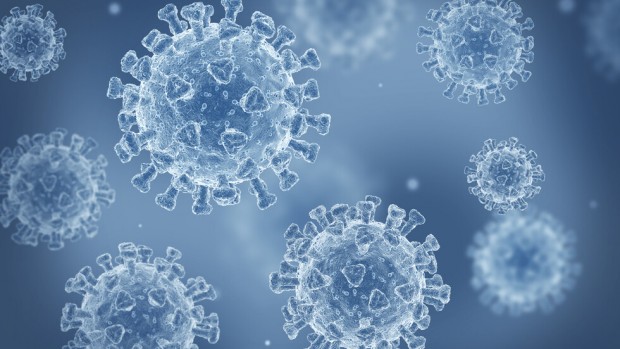 240 са новите случаи на коронавирус у нас през последното денонощие. Това