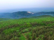 Баба и внуче от Пловдивско оцеляха сами сред мечките в Родопите