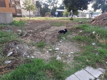 Пловдивчани готвят жива верига в защита на зелени площи
