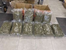 ��������� ������� ��� 11 �� ��������� � ��������� �� ����