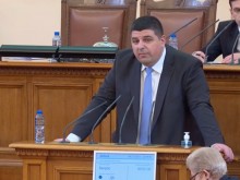 Мирчев: Възможно най-бързо Митрофанова трябва да бъде изгонена