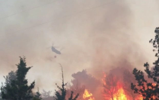 Няколко европейски страни изпращат противопожарни екипи в Гърция за да