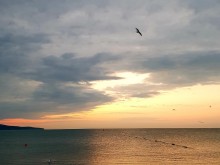������ ������� - ���������� ������� � ��������