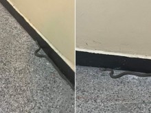 Неканена гостенка изплаши жителите на пловдивски блок