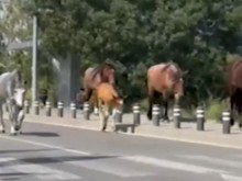 ����� ���� �� ��������� �� ������ �������� ��������