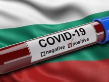 ��� ���� ������ �� ������ � ����� �� COVID �������