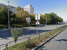 Кошмар за пловдивчанка заради две огромни кучета!