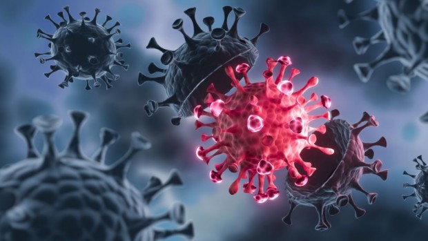 1139 са новите случаи на коронавирус у нас за последните 24