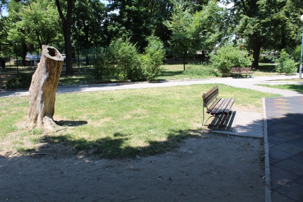 Паркът в квартал Коматево се почиства всеки работен ден съобщиха